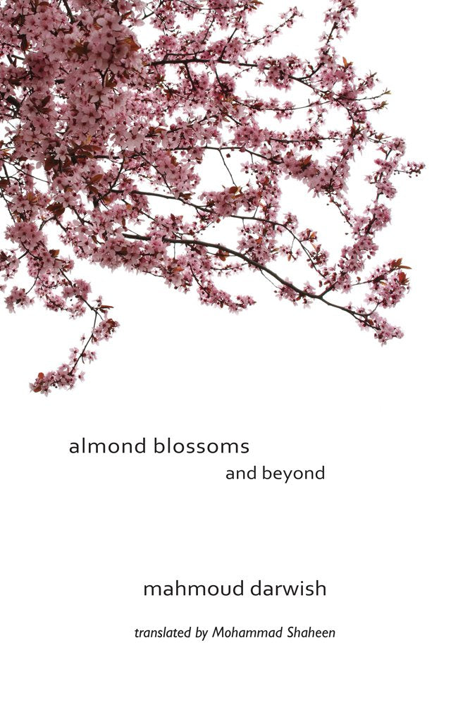 Almondblossomsandbeyond.jpg?v=