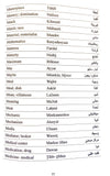 Colloquial Levantine Dictionary (English-Arabic)